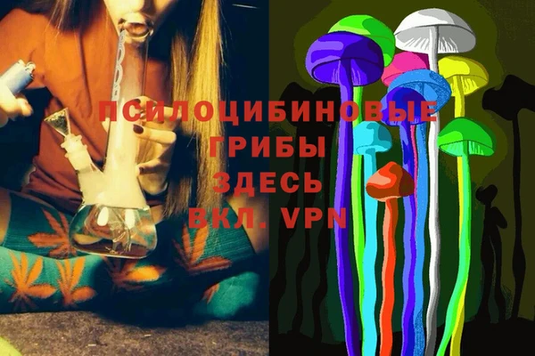 соль курить ск Алексеевка