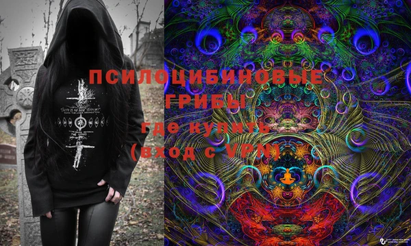 мдпв Алексин