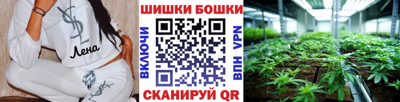 Конопля гибрид  Ельня 